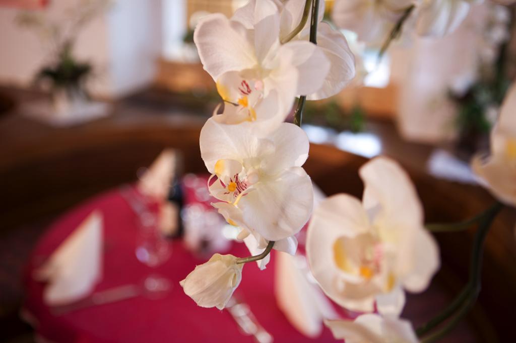Hotel Astras Scuol Ngoại thất bức ảnh